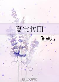 夏宝传3完结了吗