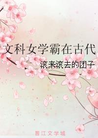 文科女学霸在古代坐