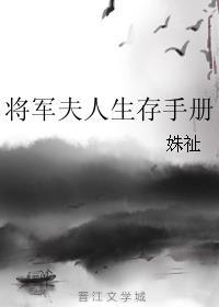 将军夫人生存手册番外