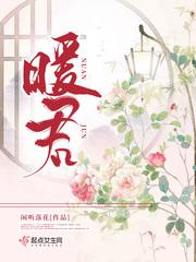 暖君闲听落花txt