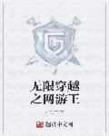 无限穿越之网游王评价