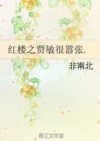 红楼之贾敏传乐文