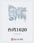 台湾16个政党