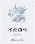 主角被称为圣师的