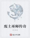 巫师三传奇套装代码