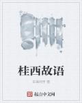 桂西是什么意思