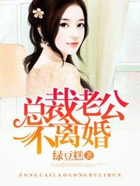 总裁老公不离婚绿豆糕txt