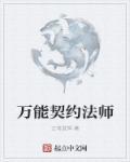 契约法师完结