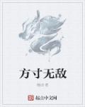 梦幻西游1无敌4方寸