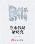 我是诸葛亮作文600字