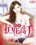 绝世护花高手无删减版