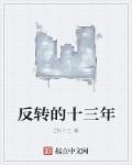 十三反转出是什么数字