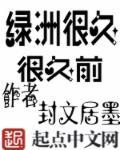 西部游记公司