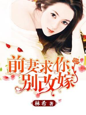 前妻求你别改嫁全文婉转的蓝免费阅读