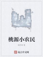 桃源小农民TXT