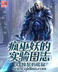 疯巫妖的实验日志epub