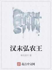 弘农王是什么意思