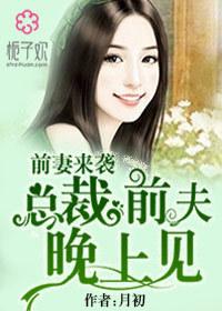 总裁前夫前妻哪里逃