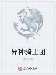 异种骑士团玛丽