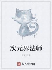 全职法师次元之影