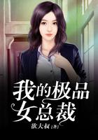 我的极品女总裁全文txt