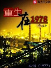 重生在70年代txt宁溪南