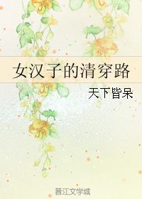 清穿女汉子的清穿路