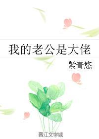 我的老公是大佬韩剧