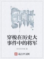 穿梭在历史大事件中的将军TXT