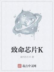 致命公司数据芯片有什么用