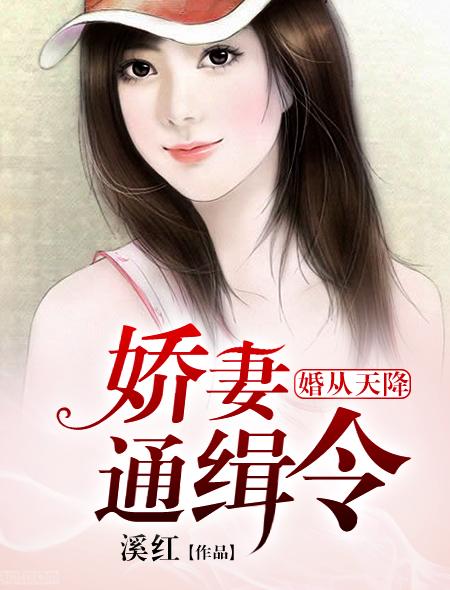 婚从天降娇妻休想跑