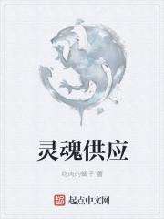 灵魂供应是什么意思