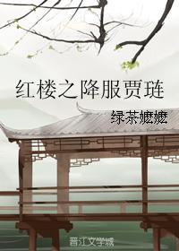 红楼之降服贾琏无