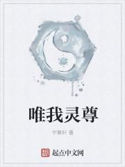 惟我仙尊