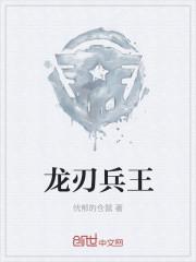 龙刺兵王完结版