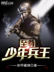 至尊少年兵王TXT奇书网