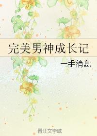 完美男神成长记无防盗