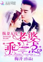 纵妻无度老婆乖一点epub