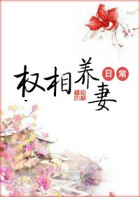 权相养妻日常讲的什么内容