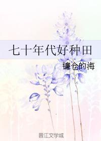 七十年代好种田曲宁