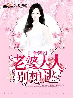 一胎两宝老婆大人别想逃讲的什么