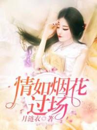 情如烟花过场[精品