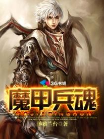 魔甲兵魂为什么不写了