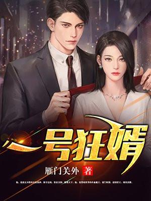 一号狂婿完整版