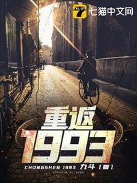 重返1993电视剧