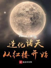 造化诸天从红楼开始 夜静不语