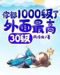 你都1000级了外面最高30级漫画叫什么名字