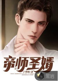 帝师王婿完整版