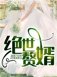 绝世赘婿叶昊免费完结版