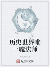 历史世界唯一魔法师TXT资源